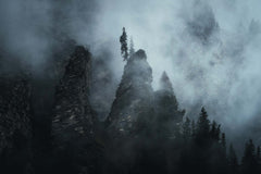 Arbres et falaises #3