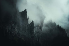 Arbres et falaises #2