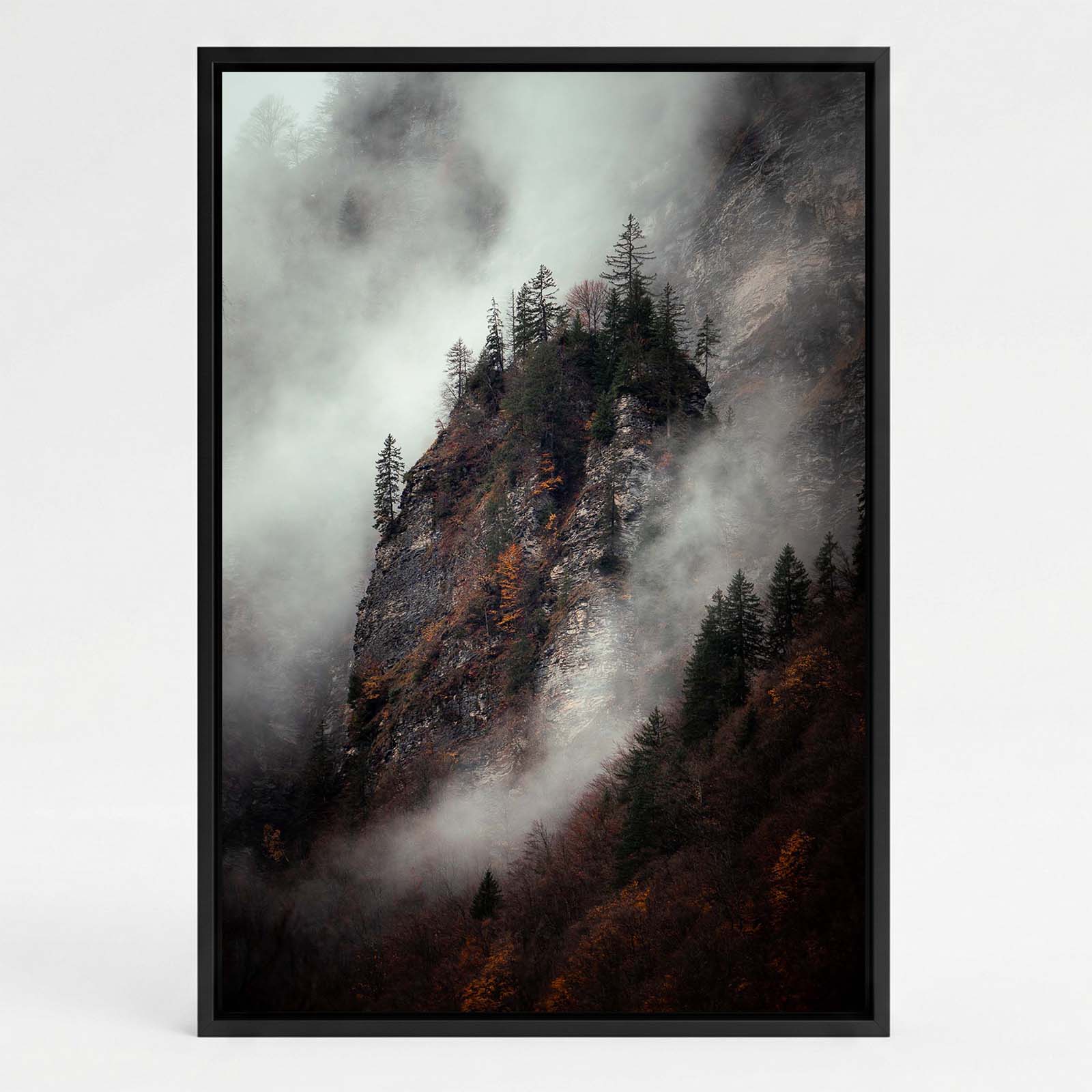 Arbres et Falaises #13