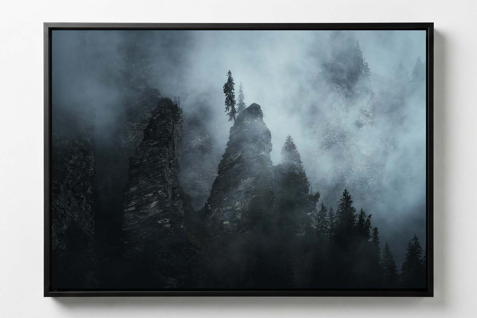 Trees on the Misty Brink