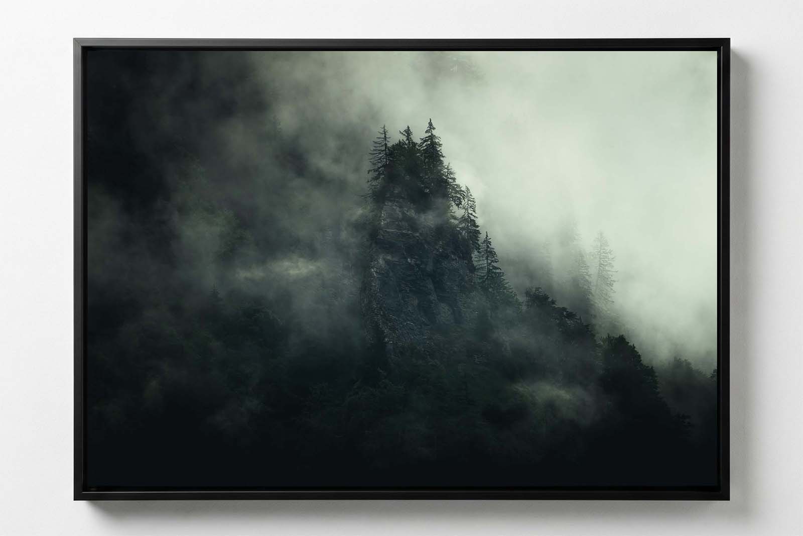 Arbres et Falaises #8