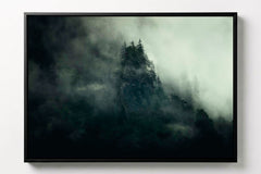 Arbres et Falaises #8