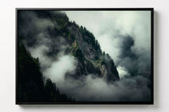 Arbres et Falaises #7