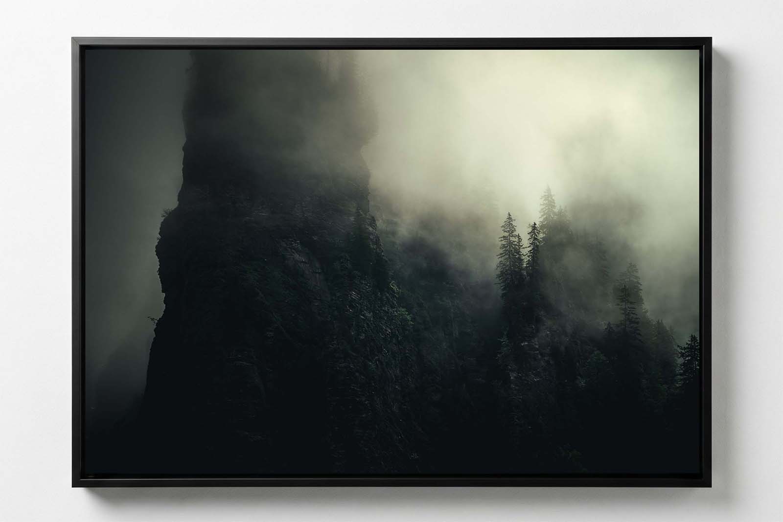 Arbres et Falaises #5