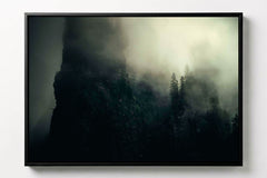 Arbres et Falaises #5