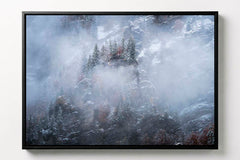 Arbres et Falaises #16