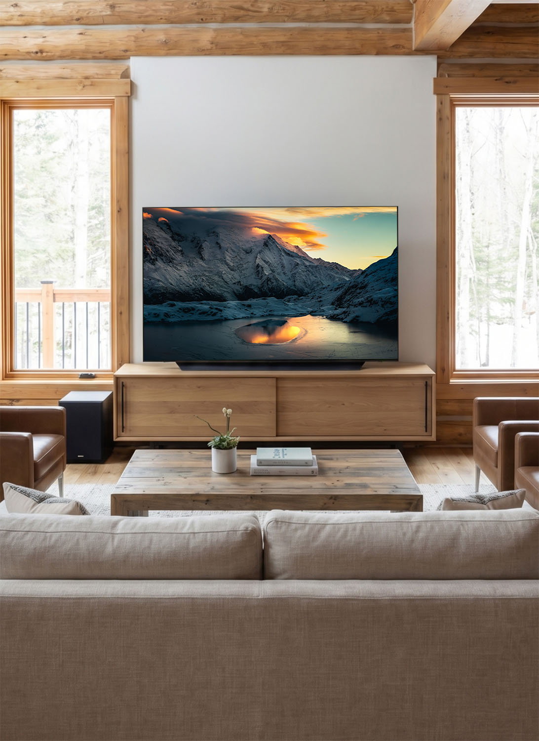 Lac des Chéserys (format numérique)