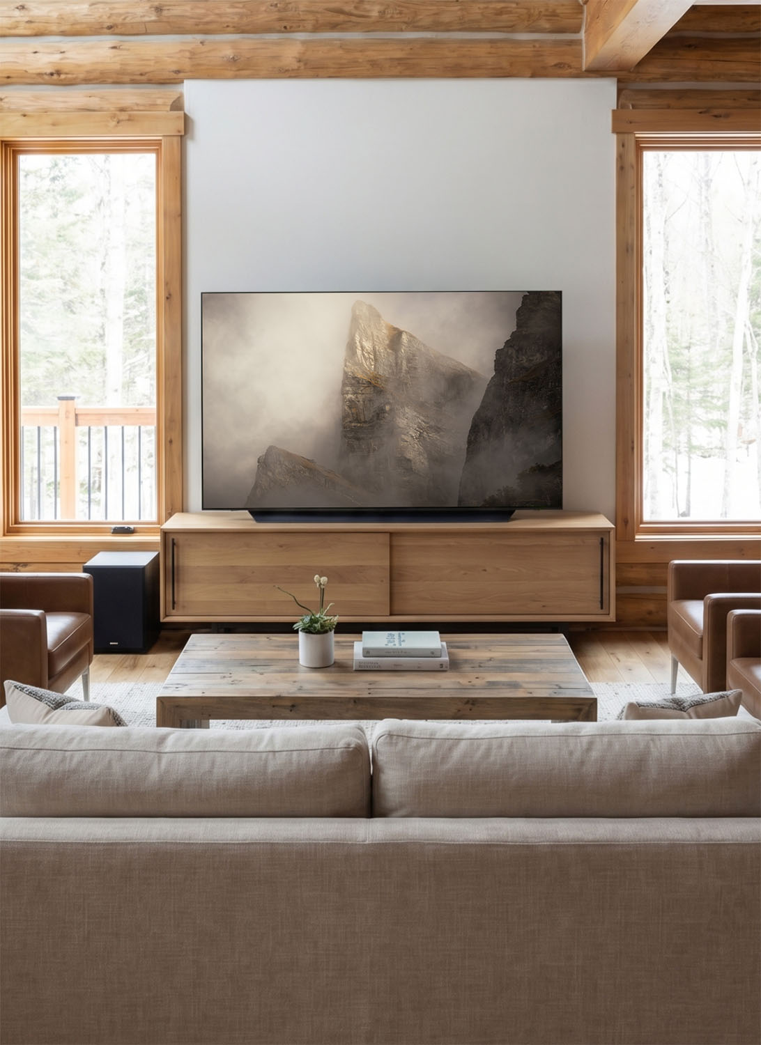 Géant de pierre (format numérique)