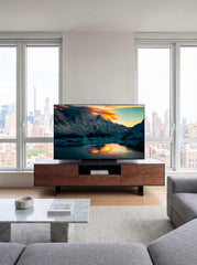 Lac des Chéserys (format numérique)